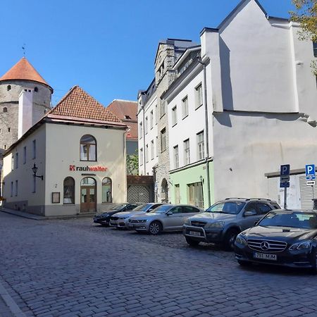 Tallinnhousing Knights And Nobility -3 Bdr Home Dış mekan fotoğraf